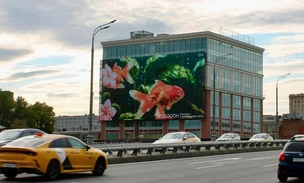 Цифровой оазис