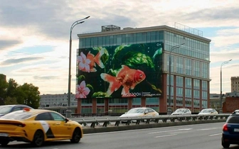 Цифровой оазис