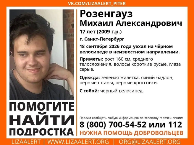 В Петербурге идут поиски подростка. Мальчику может требоваться медицинская помощь | Источник: «ЛизаАлерт»