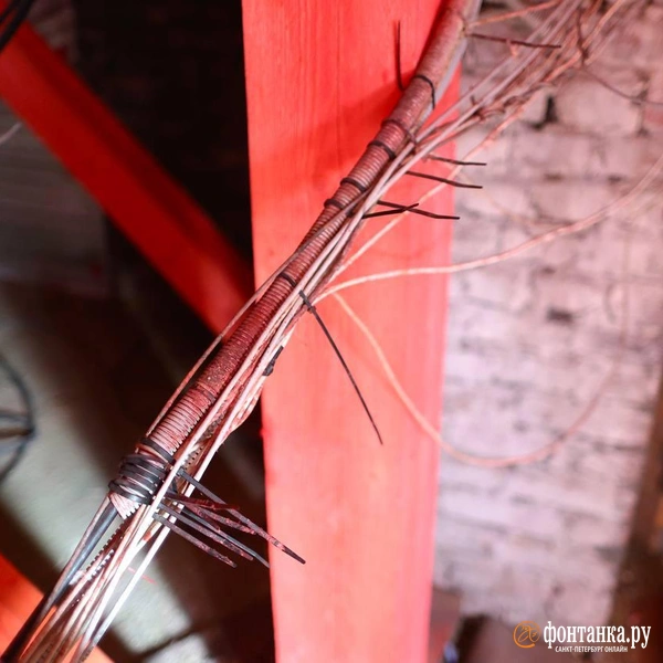 Источник: Дарья Драй / «Фонтанка.ру»