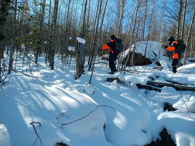 Зона поисков уже покрыта снегом | Источник: КГКУ «Спасатель» / vk.com