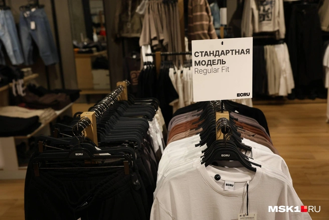 Если вдруг вы забыли, как выглядит стандартная модель | Источник: Артем Устюжанин / MSK1.RU 