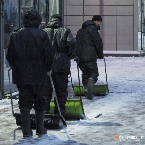 Источник: Михаил Огнев / FONTANKA.RU 