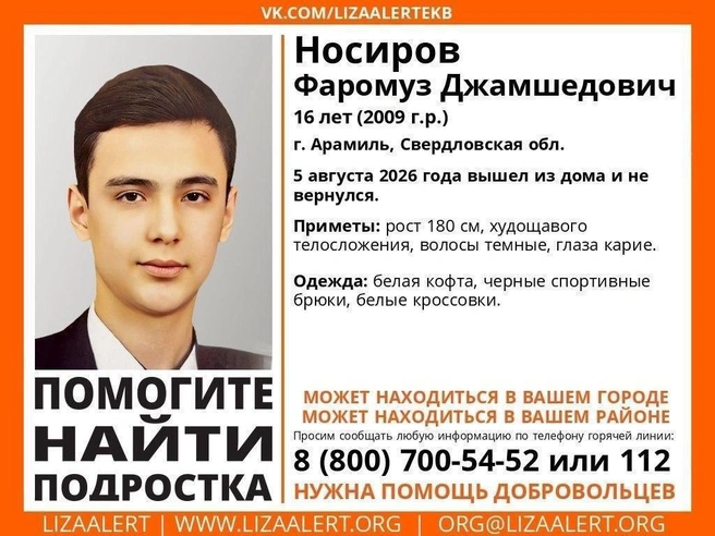 Ориентировка на пропавшего подростка | Источник: ЛизаАлерт