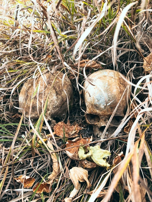 Местные говорят, что жуткие находки для них — не новость | Источник: Красивые места России | Колоткин Игорь / Vk.com