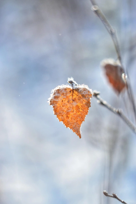 Источник: Анастасия Руднева / Vk.com