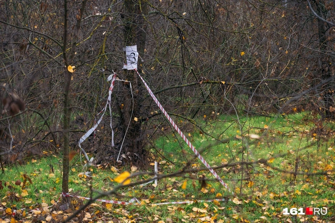По всей территории натянуты ленты с цифрами | Источник: Евгений Вдовин / 161.RU