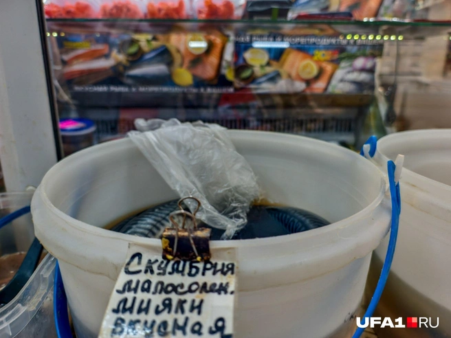 Источник: Булат Салихов / UFA1.RU