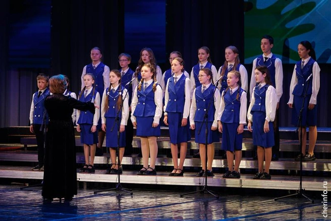 Источник: st.cherinfo.ru