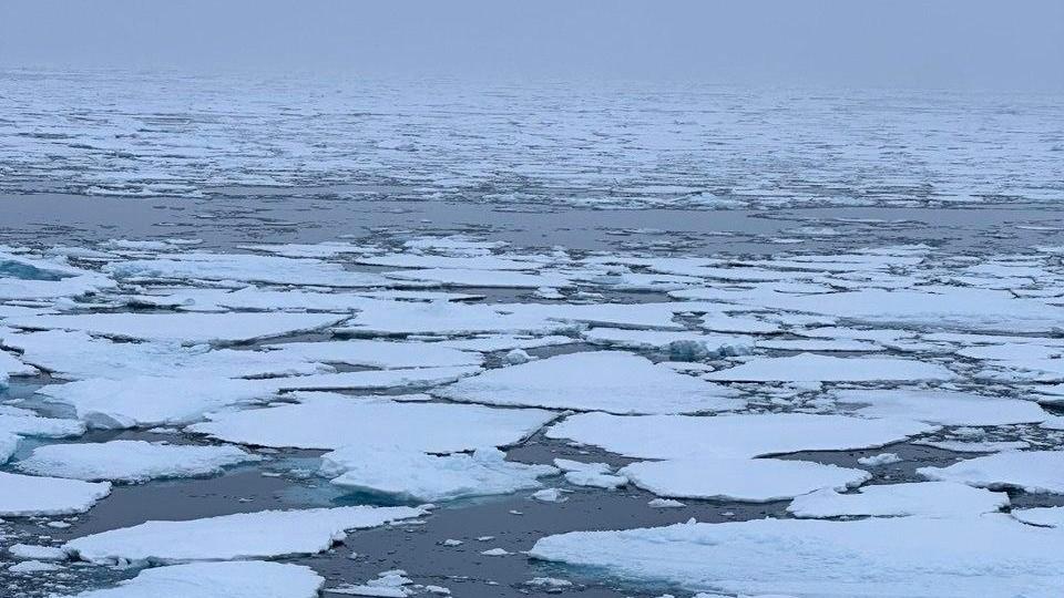 «Льдины подтаивают, воды по щиколотку»: как выглядит Северный полюс — фото жителя Башкирии с экспед…