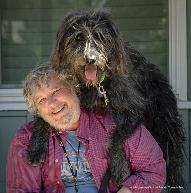Источник: Judy Nussenblatt / Comedypetphoto.com