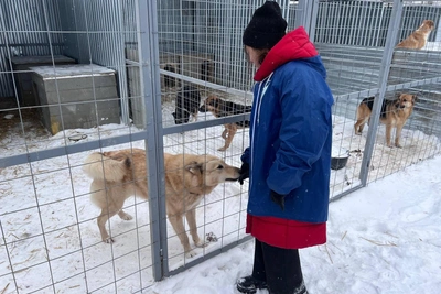 Приют в Нижнекамске под угрозой затопления из-за свалки снега