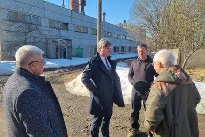 Костромские хозяйства продадут картофель и овощи напрямую