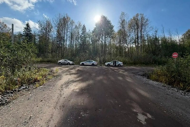 Источник: st.cherinfo.ru