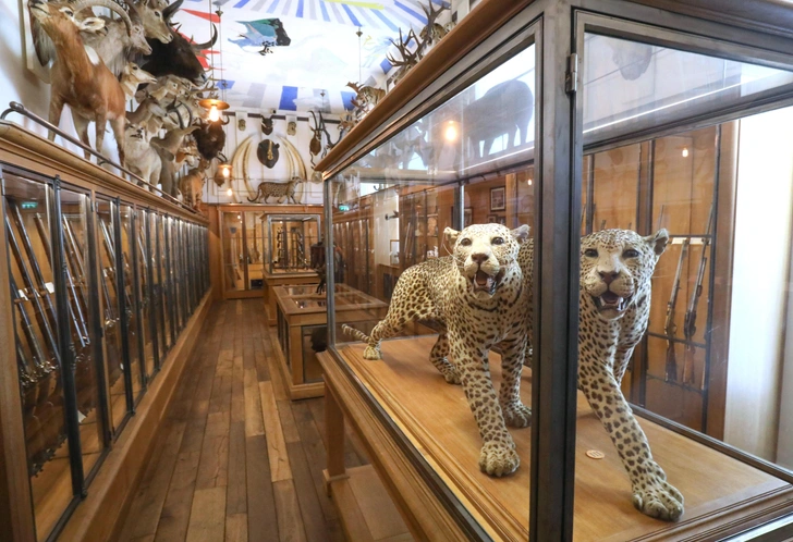 Источник: Legion-media, Фредерик Реглейн