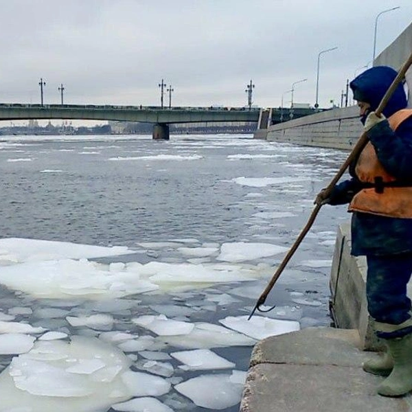 Источник: СПб ГБУ «Экострой»