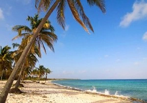 Туристическая фирма «Море солнца» уходит с рынка | ya62.ru