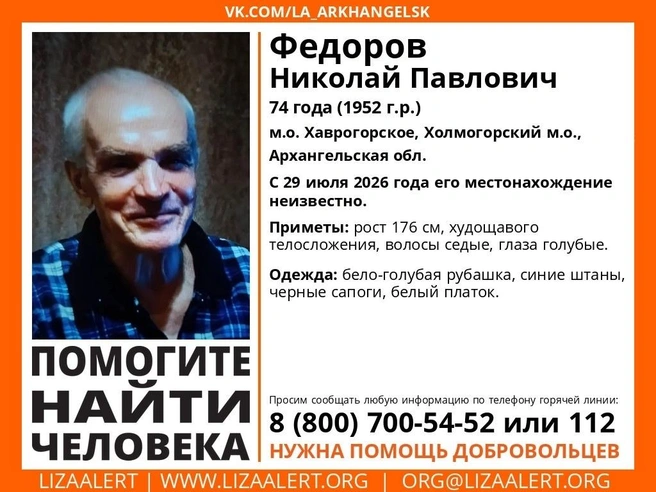 Источник: Поисковый отряд «ЛизаАлерт» Архангельской обл. / Vk.com