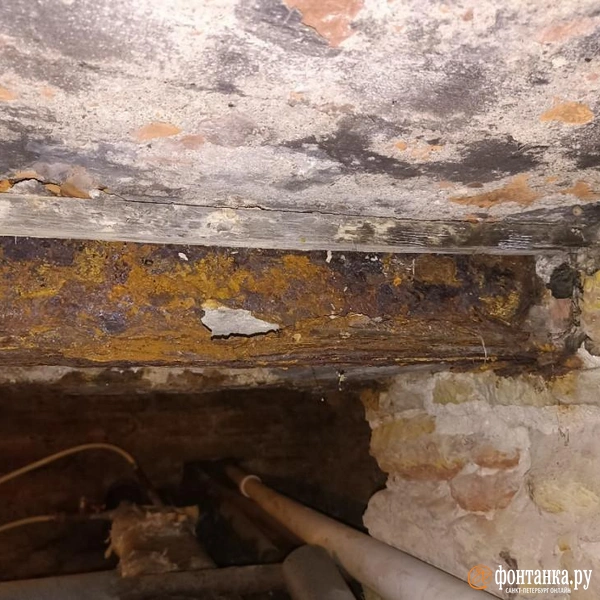 Источник: «Фонтанка.ру»