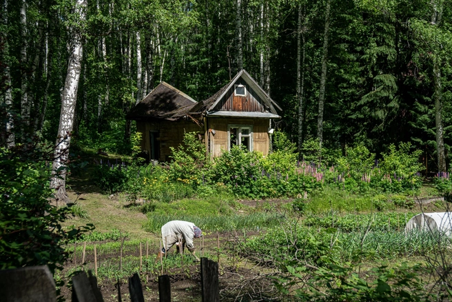 Льготники бы хотели получить огород, но не могут  | Источник: Александр Ощепков / NGS.RU