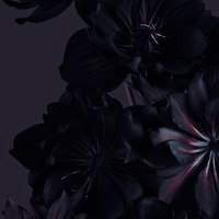 Аватарка Полина228