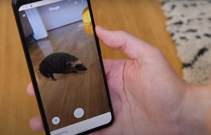 Залипательное развлечение от Google: трехмерное животное прямо у тебя дома
