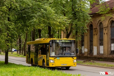 Автобусы в Ярославской области будут задерживаться из-за проверок