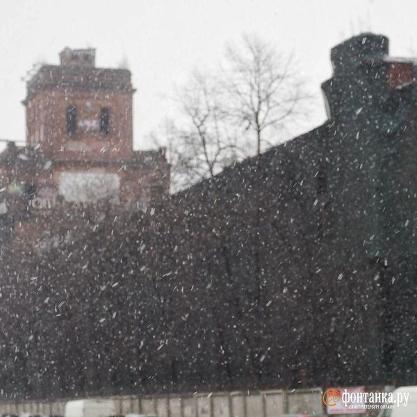 Источник: Михаил Огнев / «Фонтанка.ру»