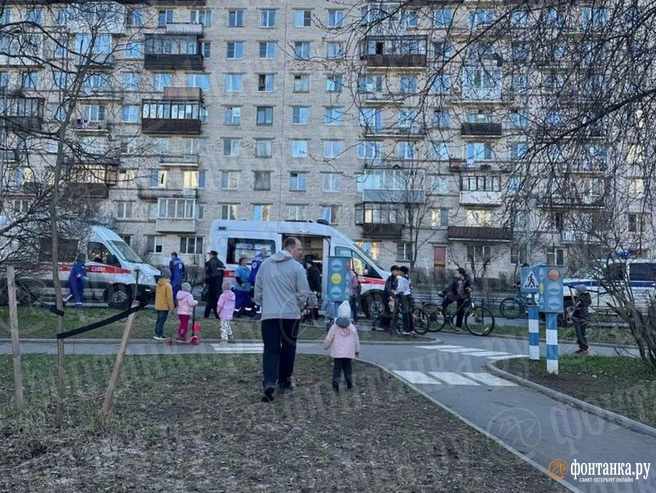 «Грыз ей ноги». Нападение бойцовского пса на жителей улицы Лени Голикова попало на видео | Источник: читательница «Фонтанки» Екатерина