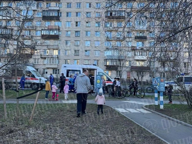 Владелец собаки, которая погрызла людей на улице Лёни Голикова, привлекался за убийство  | Источник: читательница «Фонтанки» Екатерина