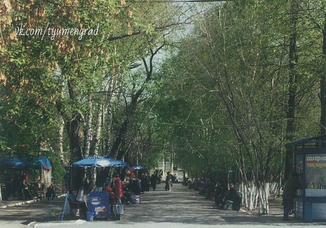 А это городской сад, известный сейчас как Цветной бульвар. Да, сейчас это пространство совсем не такое зеленое, как тогда | Источник: Культура, искусство, творчество. Тюменская область: альбом. Ч. I. —&nbsp;СПб. : 2002 г., Тюмень до нашей эры / Vk.ru