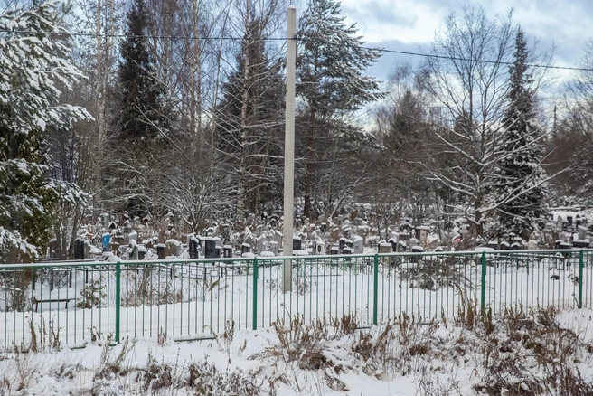 В Тольятти на Обводном шоссе хотят построить новое городское кладбище  | Источник: Кирилл Поверинов / 76.RU