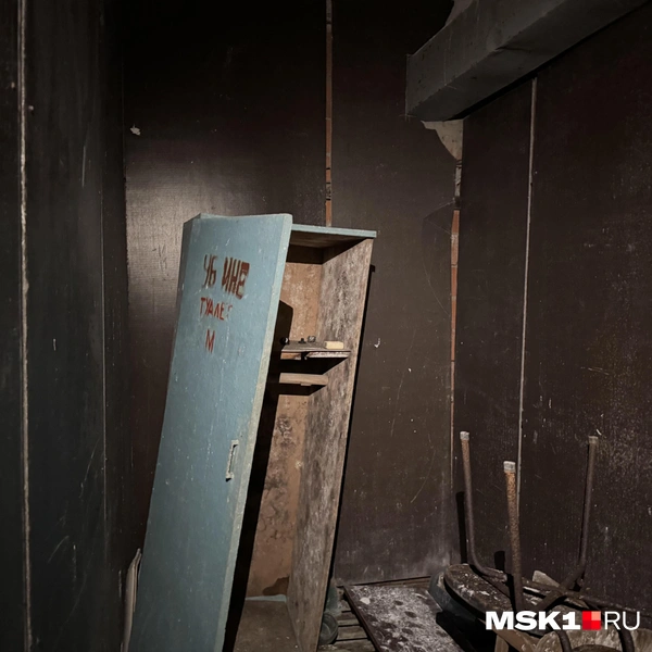 Источник: Алина Мельникова / MSK1.RU