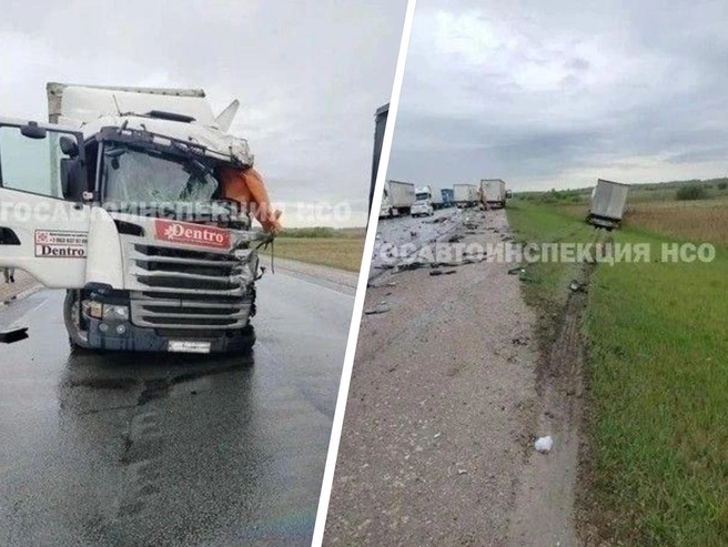 Водитель погиб на месте ДТП | Источник: Госавтоинспекция Новосибирской области