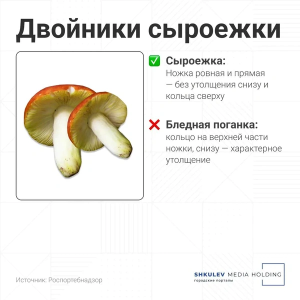 Источник: Серафима Пантыкина / Городские порталы