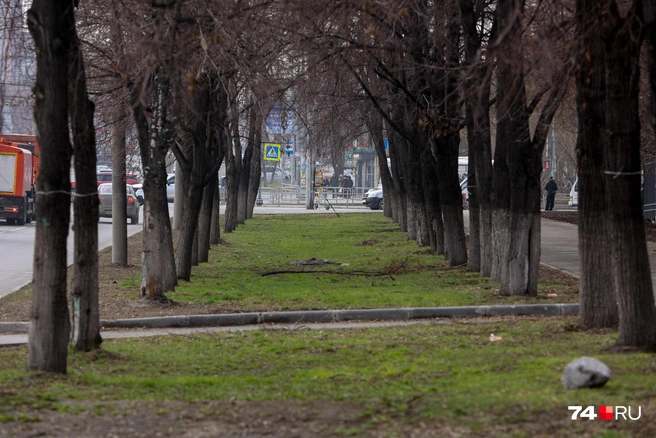 Ну почти как в Европе! | Источник: Наталья Лапцевич