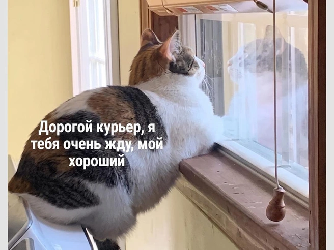 Следим за передвижениями по карте | Источник: Городские медиа