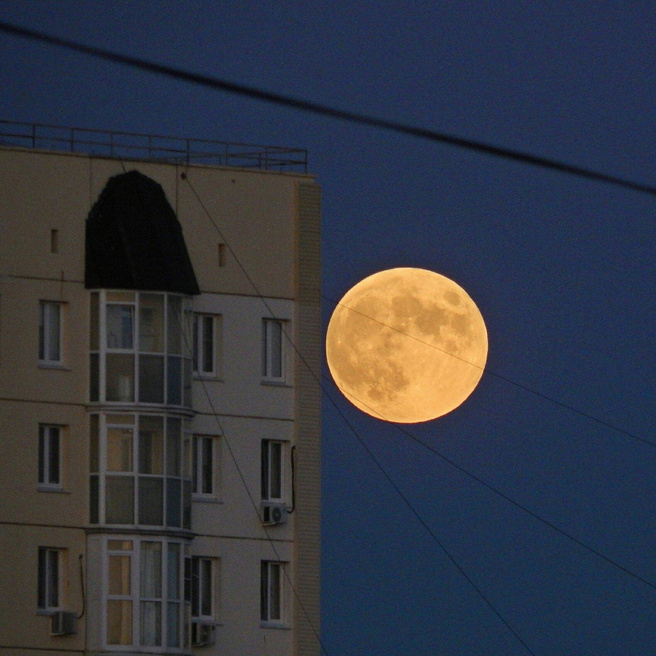 Неуемная Луна Лайт заглотила