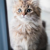 userpic__Miroslava2