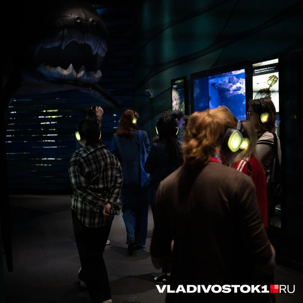 Источник: Елена Буйвол / VLADIVOSTOK1.RU