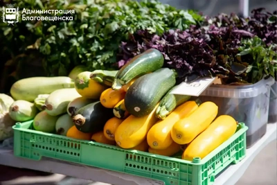 Штрафы за незаконную торговлю в Благовещенске: 200 тысяч рублей