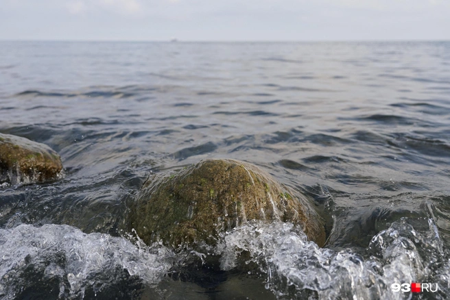 В море замечены безэкипажные катера | Источник: Дарья Паращенко / 93.RU