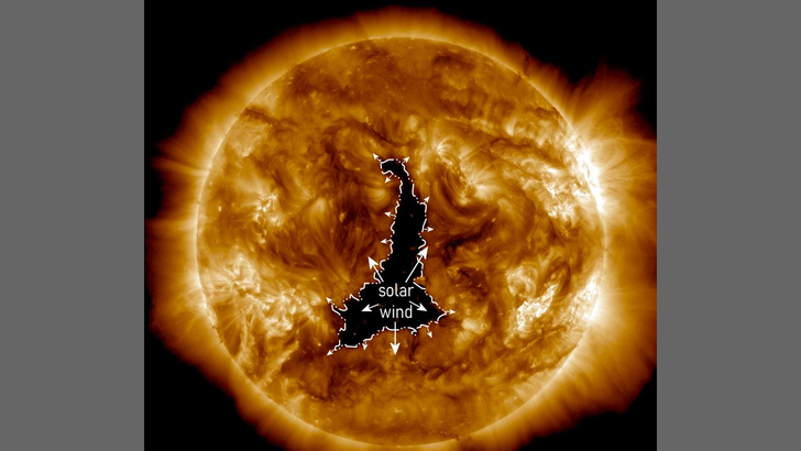 На Солнце образовалась дыра в 60 раз больше Земли: чем она опасна для нас?