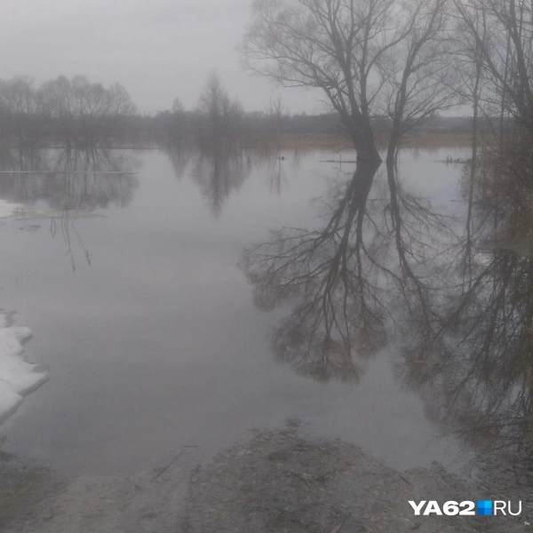 Пока короткий путь в село затоплен | Источник: Жители села Шелемишево
