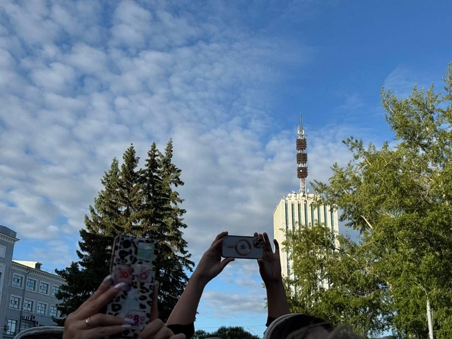 Источник: Анна Гнездова