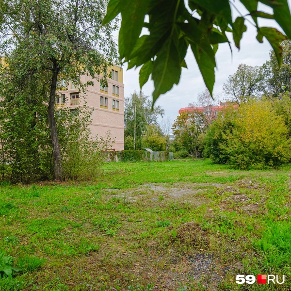 Источник: Тимофей Калмаков/ 59.RU 