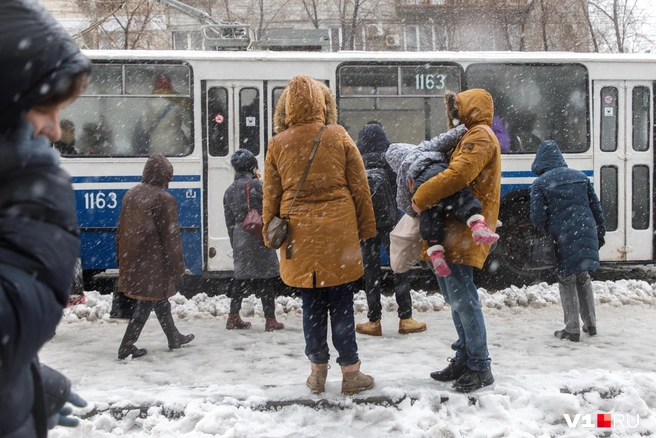 В такую погоду особо не погуляешь | Источник: Алексей Волхонский / V1.RU