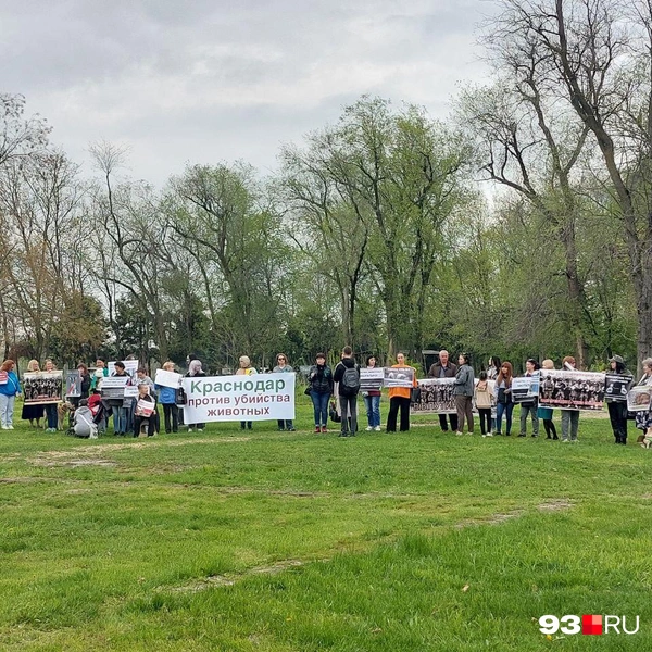 В пикете участвовали больше 200 человек | Источник: Екатерина Железнова / 93.RU