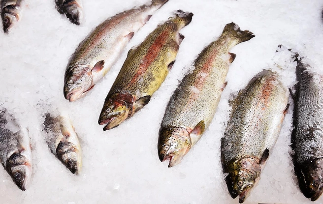 И 15 морей мало. Почему президенту снова приходится говорить о доступности рыбы в тарелках россиян | Источник: Влад Некрасов/