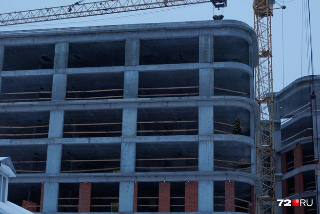 Рабочие на стройке поставили елку | Источник: Ирина Шарова / 72.RU